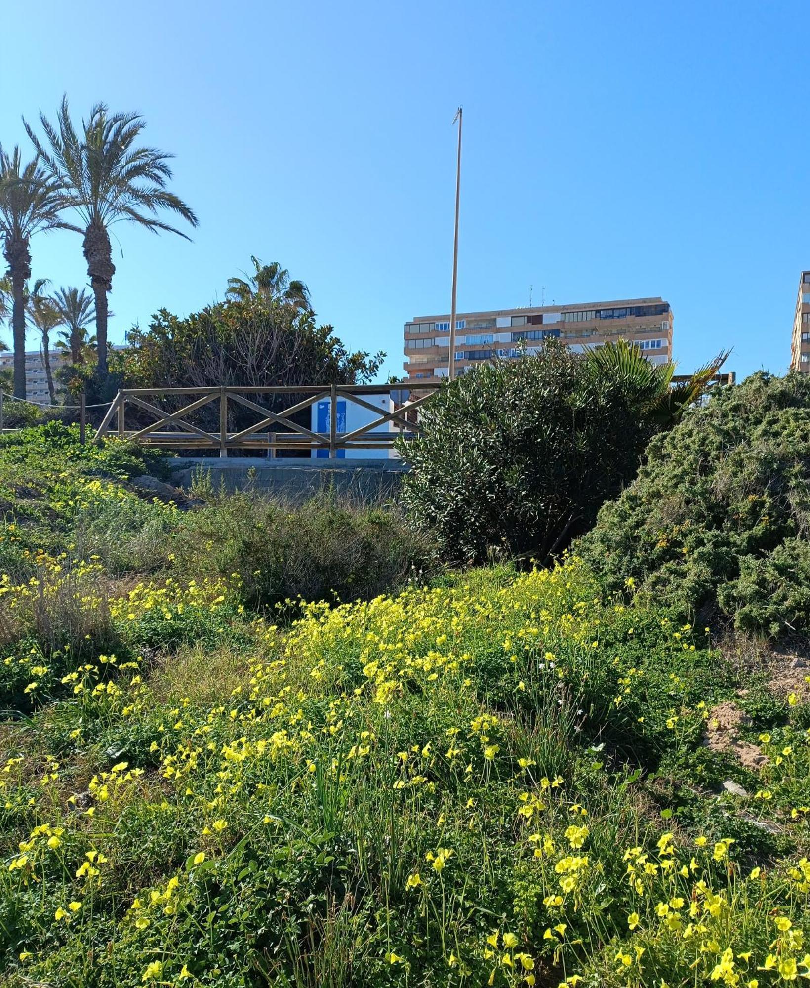 טורבייחה Apartamento Miramar מראה חיצוני תמונה