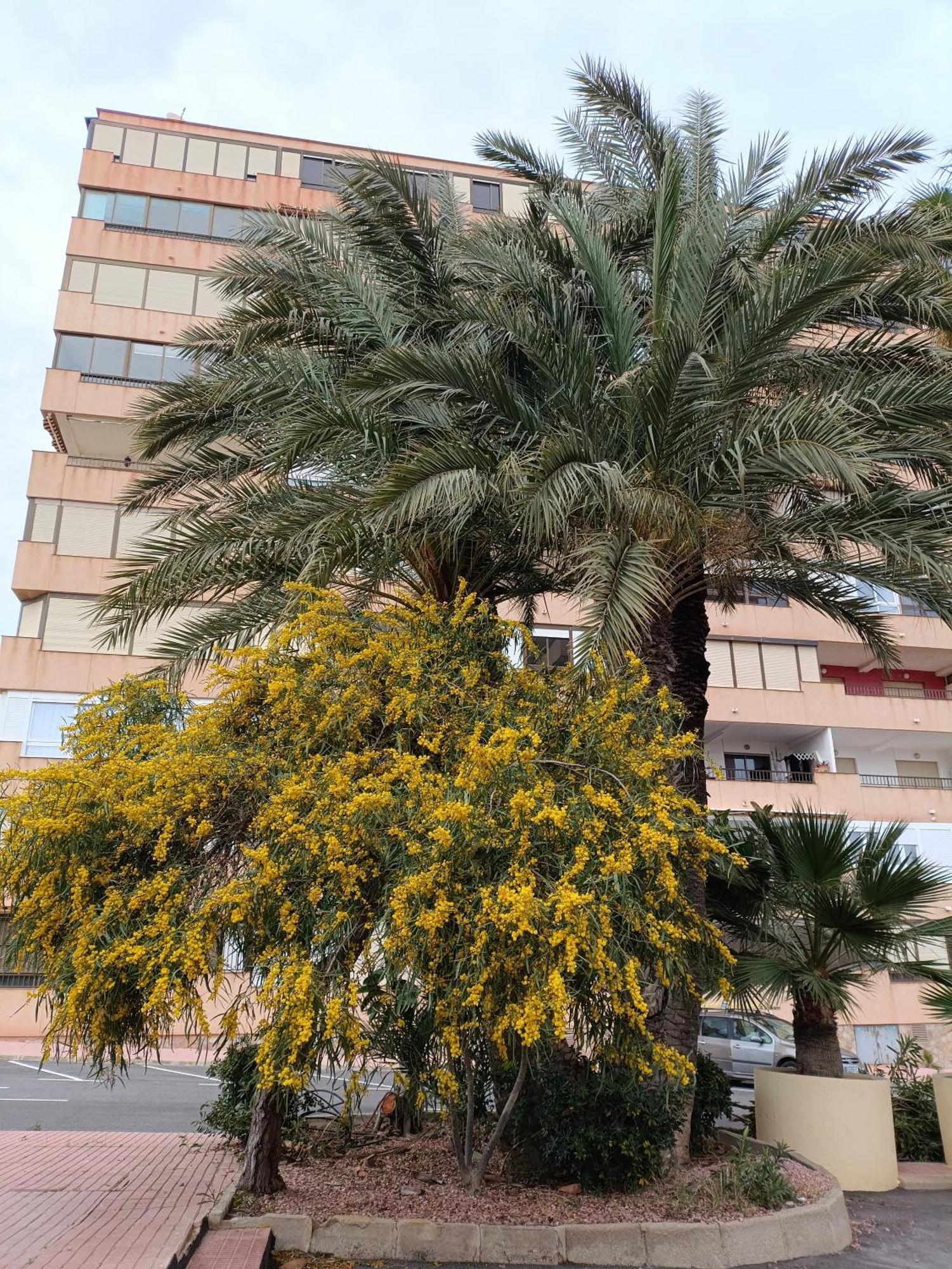 טורבייחה Apartamento Miramar מראה חיצוני תמונה